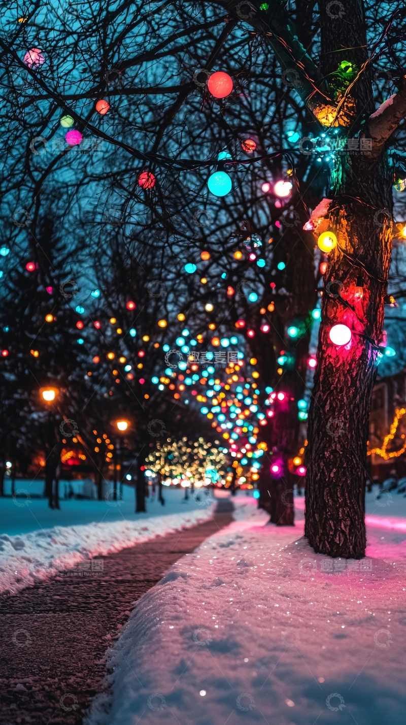 高清大图下载【趣麦麦图】冬夜雪景彩灯街道