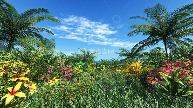 高清大图下载【趣麦麦图】热带雨林