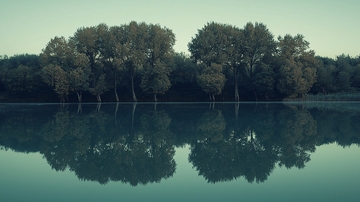 平静湖面树木倒影