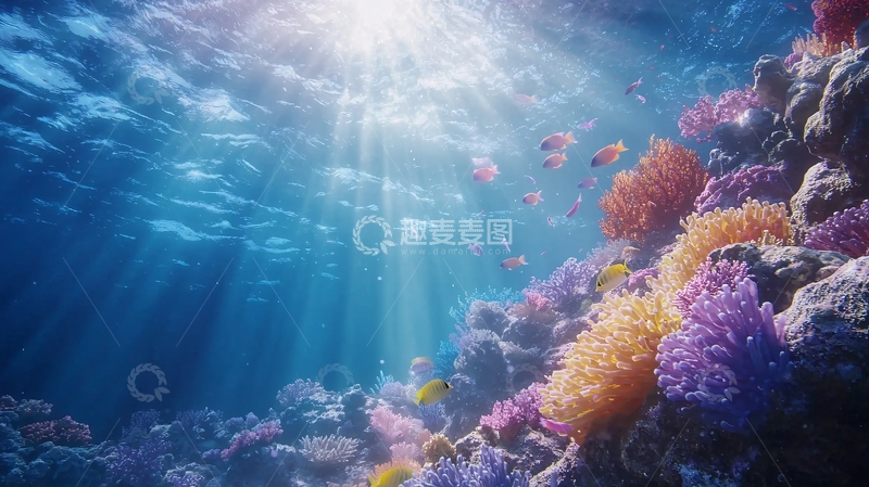 高清大图下载【趣麦麦图】阳光透过海水照射珊瑚礁