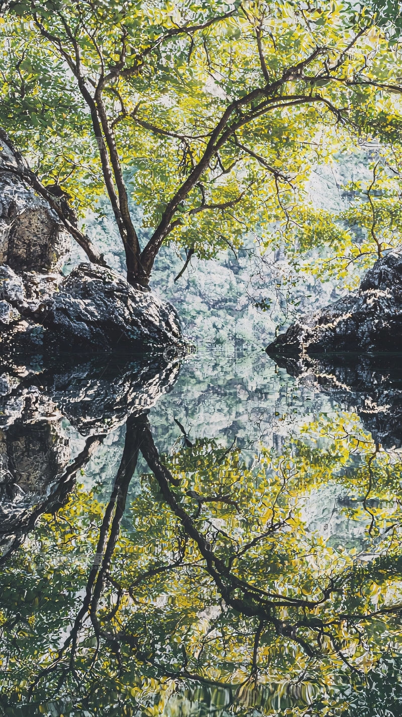高清大图下载【趣麦麦图】树木倒影