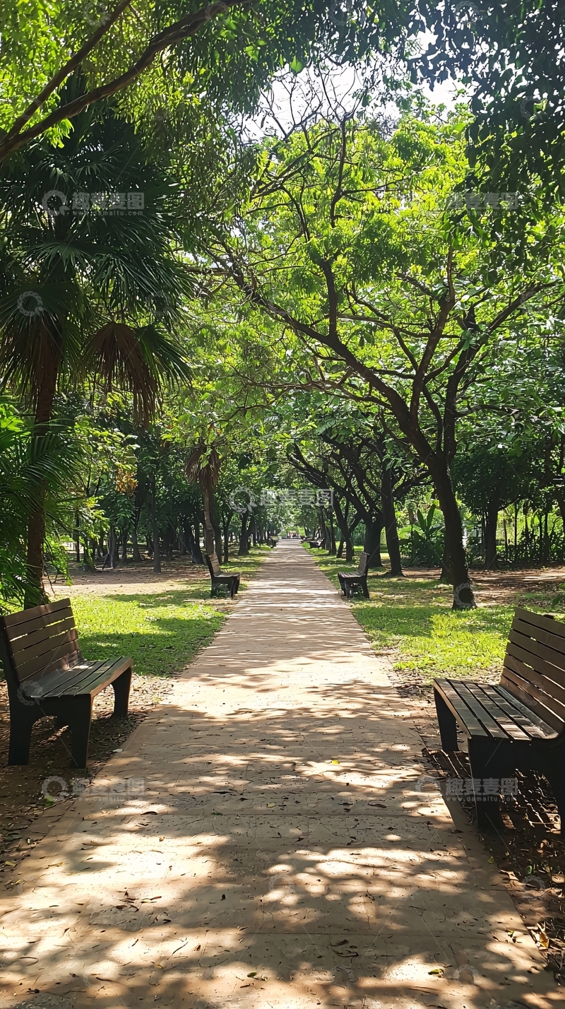 高清大图下载【趣麦麦图】绿树成荫的公园小路