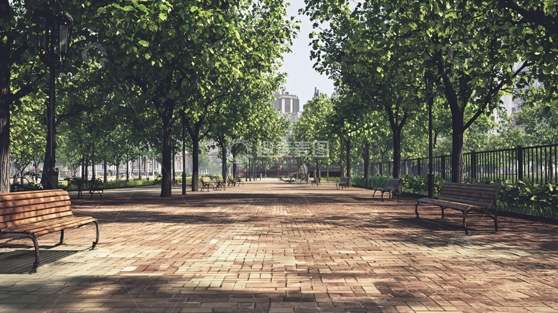 高清大图下载【趣麦麦图】阳光下的林荫大道