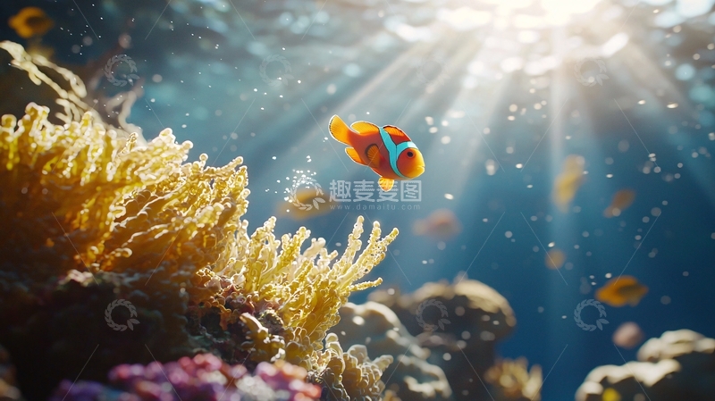 高清大图下载【趣麦麦图】阳光透过海水照射珊瑚礁