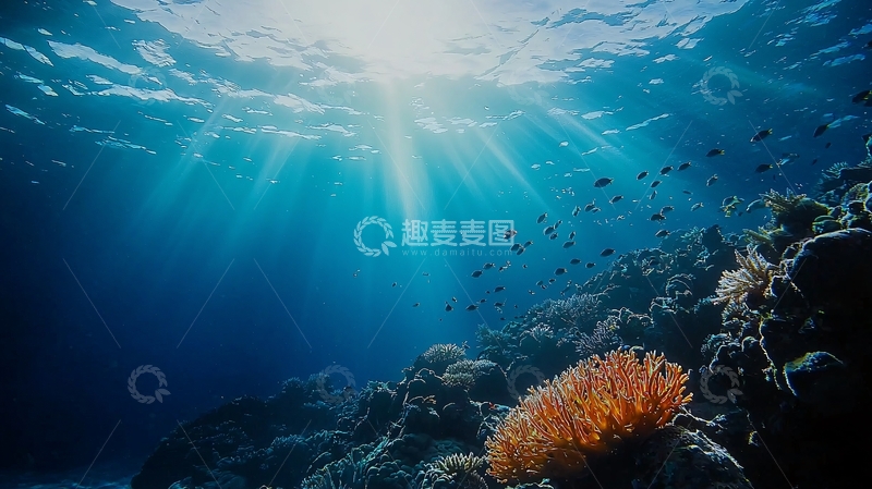 高清大图下载【趣麦麦图】阳光透过海水照射珊瑚礁