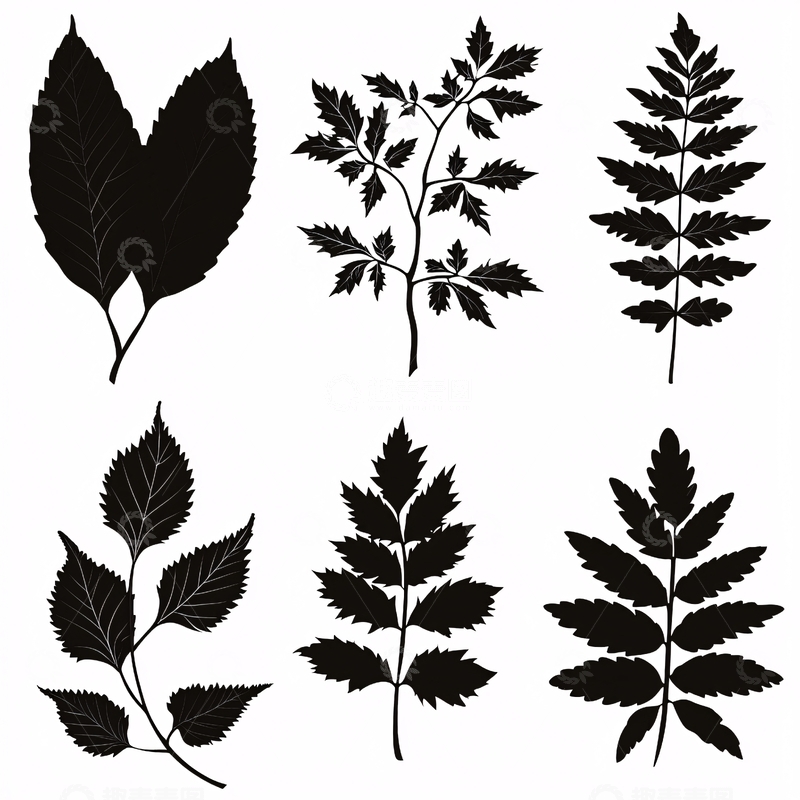 高清大图下载【趣麦麦图】黑色剪影叶子素材
