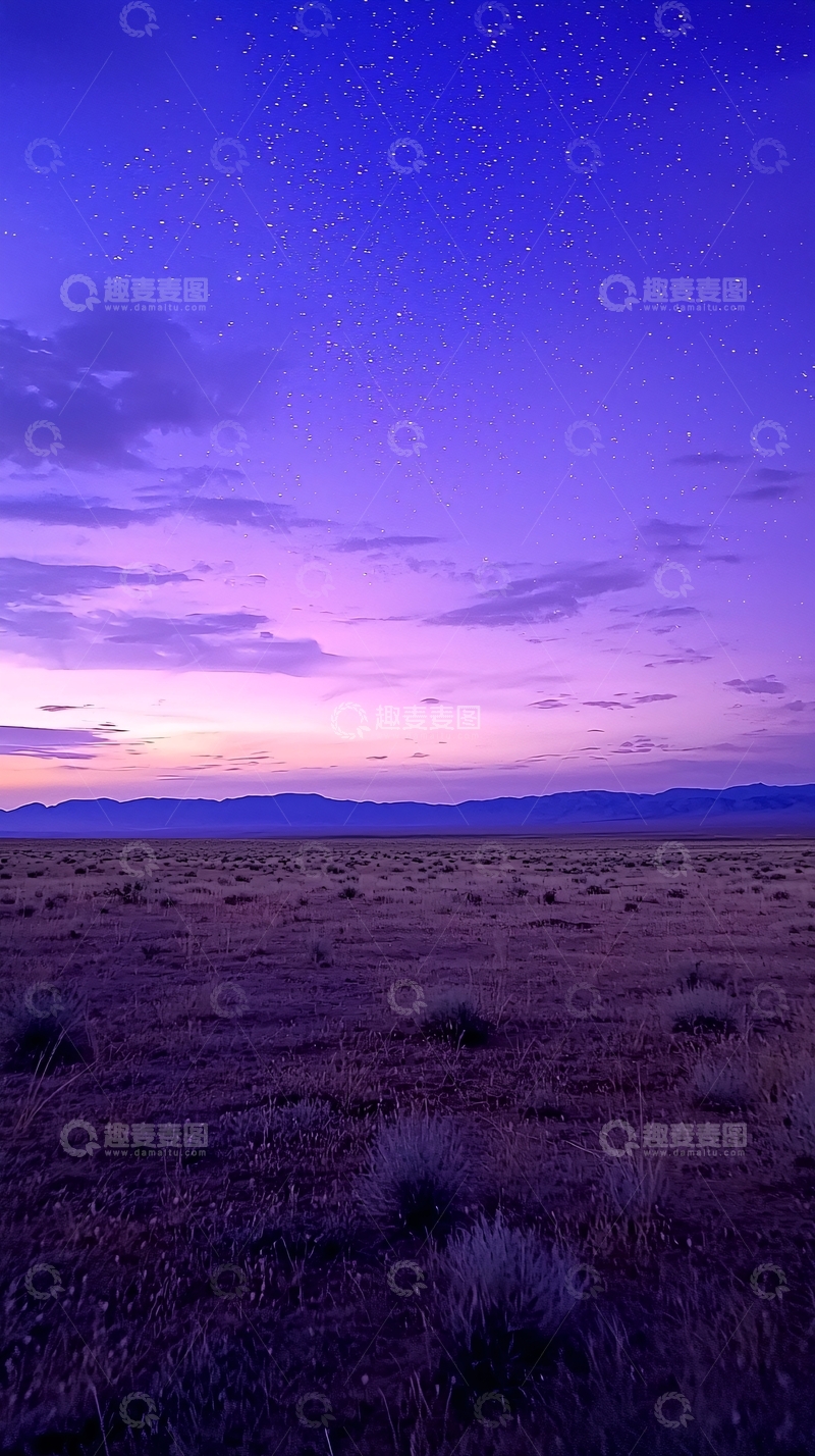 高清大图下载【趣麦麦图】-紫色星空下的荒原