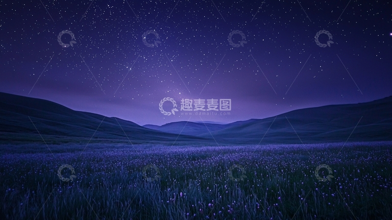 高清大图下载【趣麦麦图】星空下的紫色花田