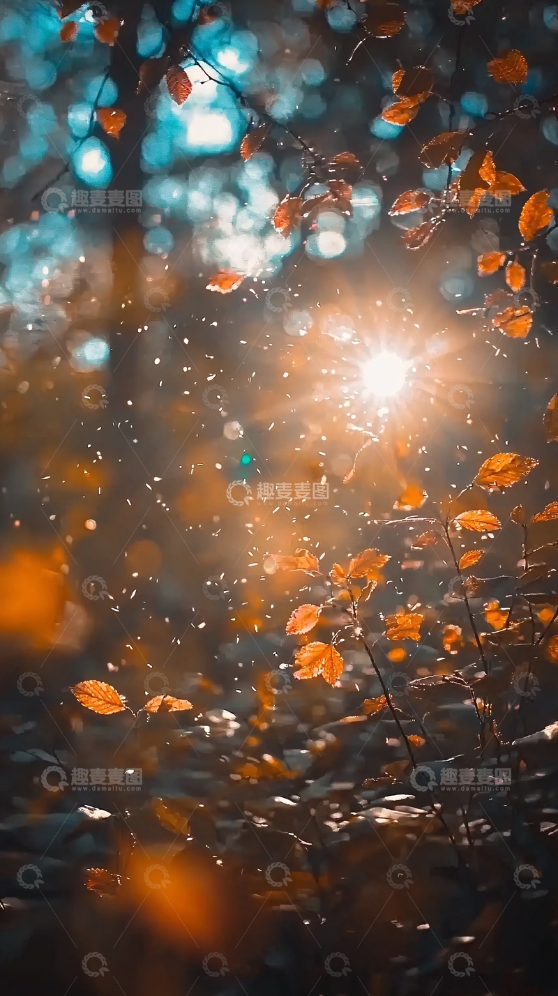 高清大图下载【趣麦麦图】阳光透过树叶