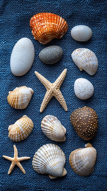海滩主题