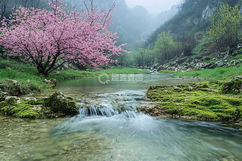 高清大图下载【趣麦麦图】山间溪流粉红桃花