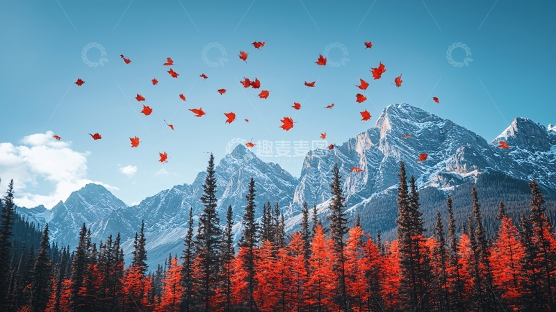 高清大图下载【趣麦麦图】秋叶飞舞山峰雪景