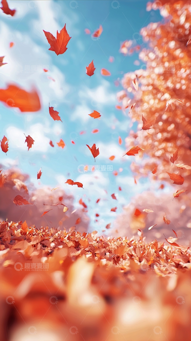 高清大图下载【趣麦麦图】秋叶飘落高清图片