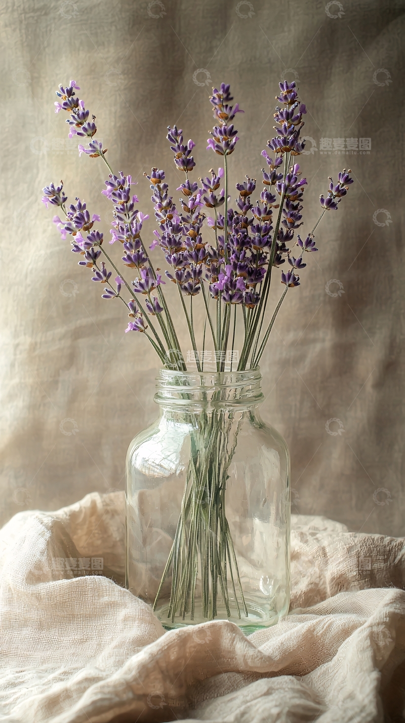 高清大图下载【趣麦麦图】淡雅的薰衣草瓶插