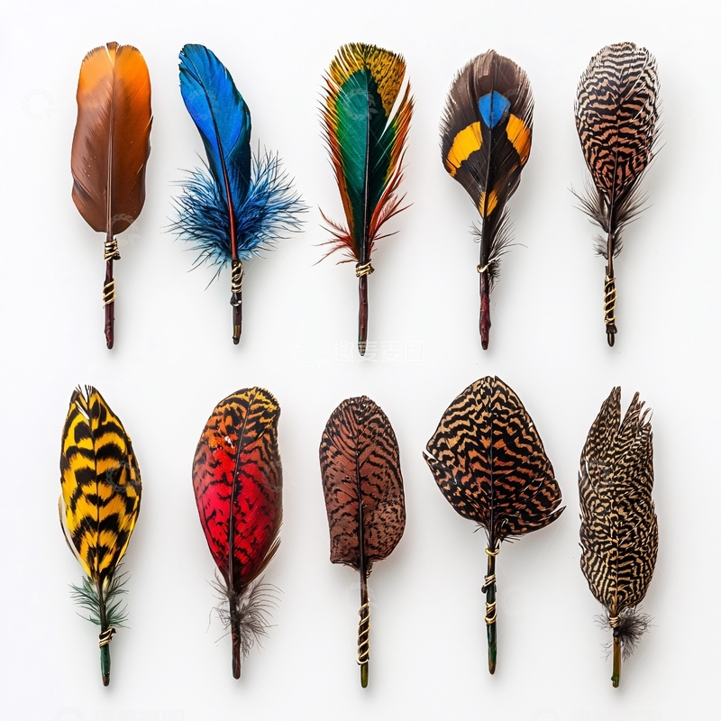 高清大图下载【趣麦麦图】彩色羽毛