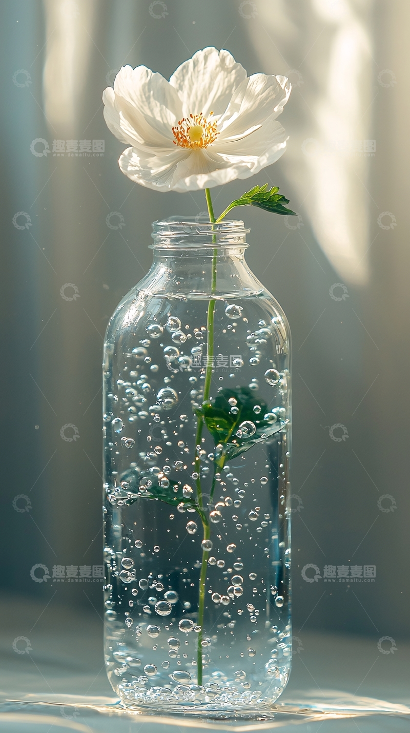 高清大图下载【趣麦麦图】白花在透明瓶中水中冒泡