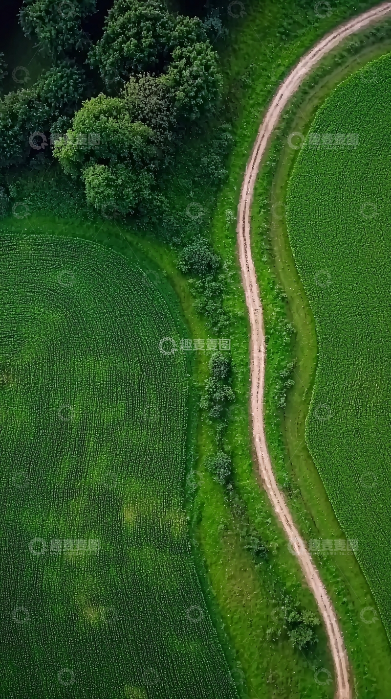 高清大图下载【趣麦麦图】高空俯瞰绿色田野蜿蜒小路