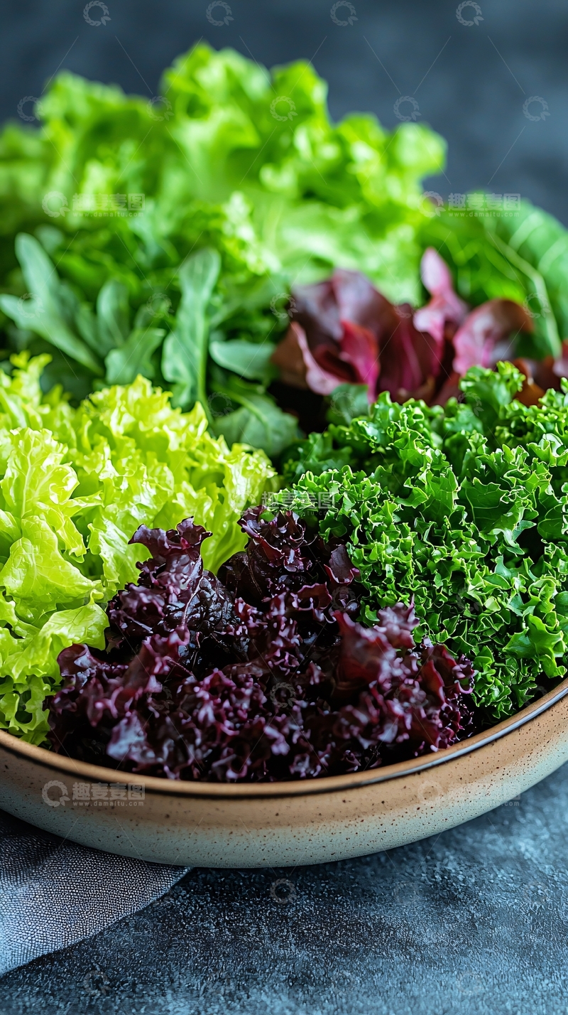 高清大图下载【趣麦麦图】混合生菜拼盘