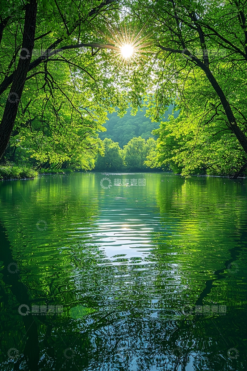 高清大图下载【趣麦麦图】森林倒影水面阳光