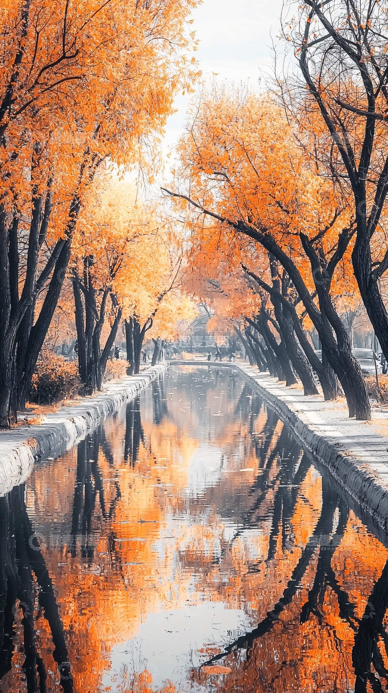 高清大图下载【趣麦麦图】秋日金色树林倒影