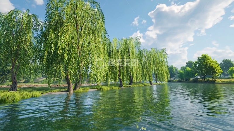 高清大图下载【趣麦麦图】垂柳倒映湖水