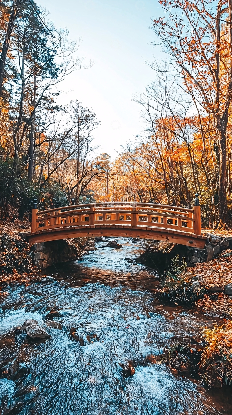 高清大图下载【趣麦麦图】秋日森林小桥流水