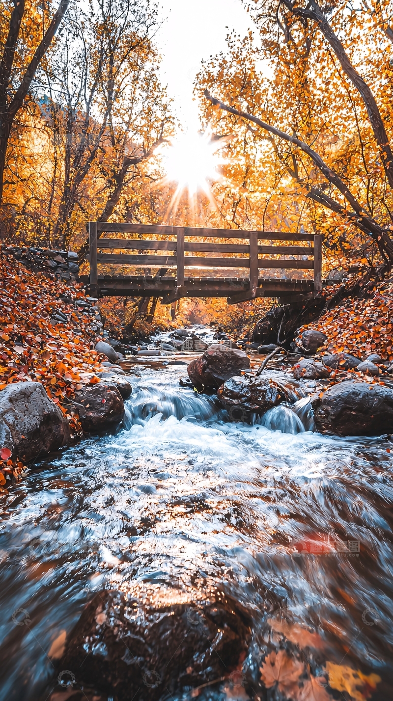 高清大图下载【趣麦麦图】秋日小溪木桥风景