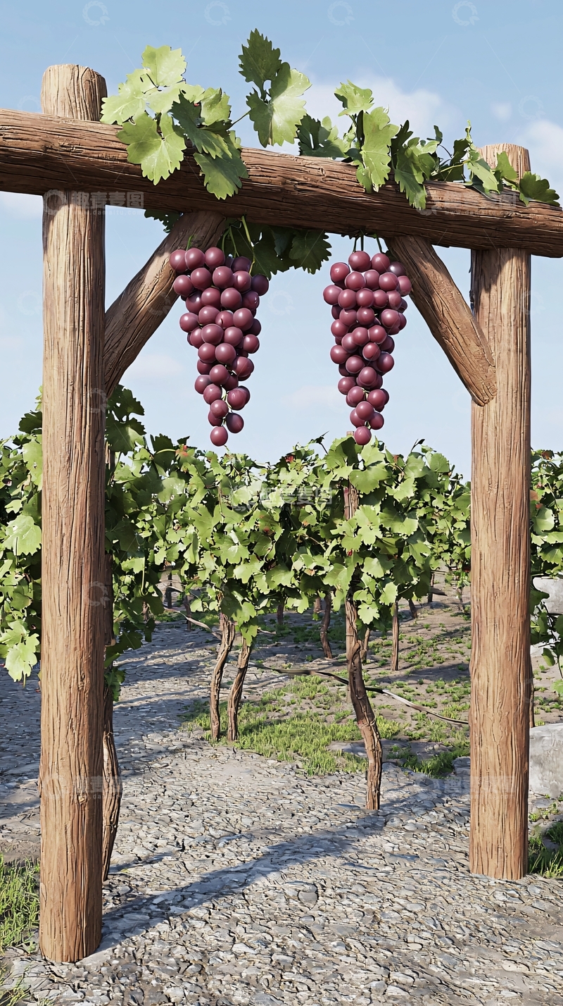 高清大图下载【趣麦麦图】葡萄架