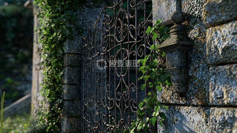 高清大图下载【趣麦麦图】藤蔓缠绕的古老铁门