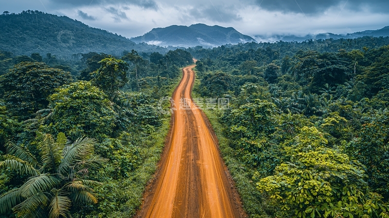 高清大图下载【趣麦麦图】热带雨林中的泥路