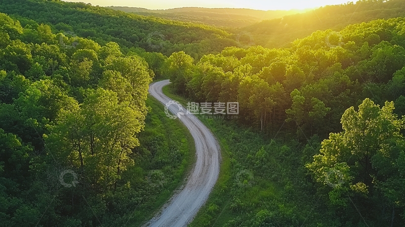 高清大图下载【趣麦麦图】蜿蜒道路穿梭于茂密森林中