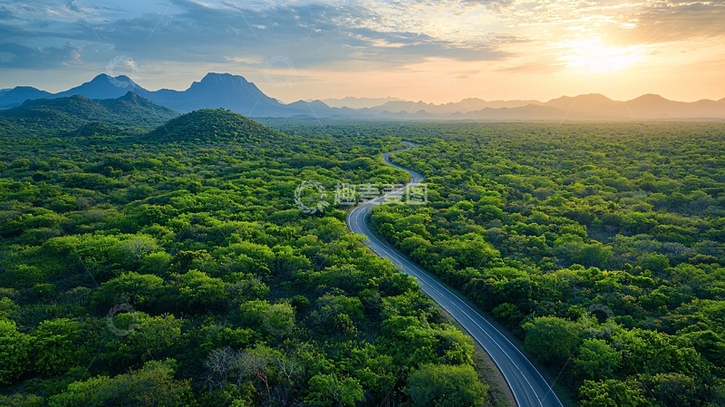 高清大图下载【趣麦麦图】绿色森林中的蜿蜒道路