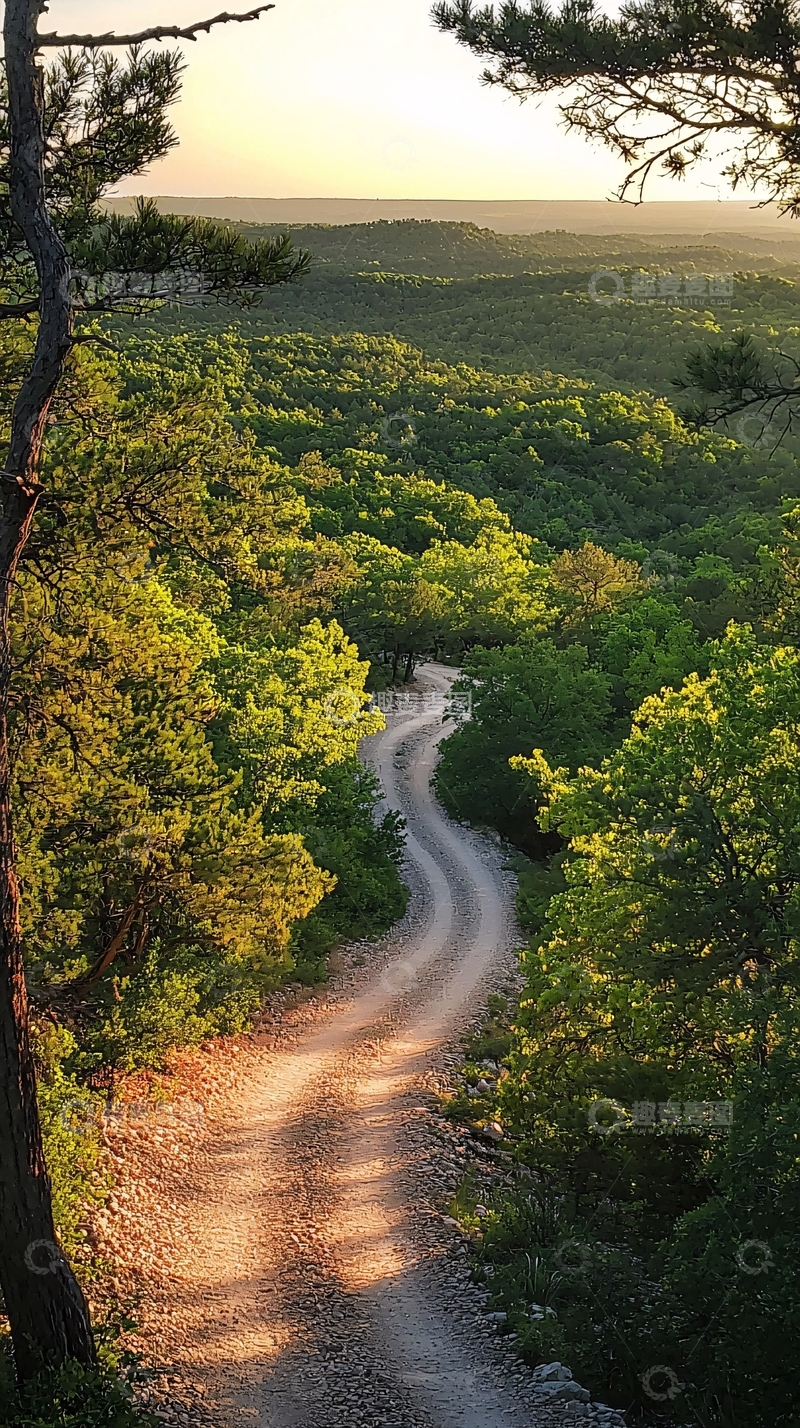 高清大图下载【趣麦麦图】蜿蜒小路穿梭于绿色森林中