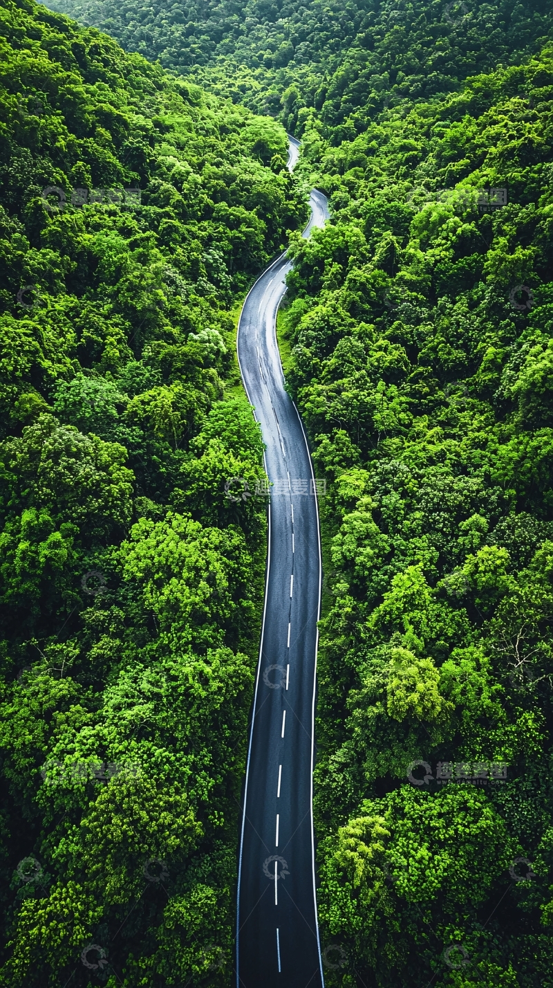 高清大图下载【趣麦麦图】蜿蜒道路穿过茂密森林