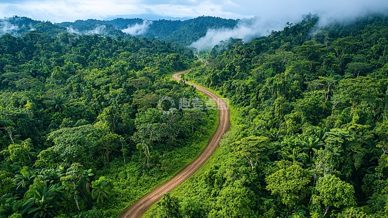 高清大图下载【趣麦麦图】绿色森林中的蜿蜒道路