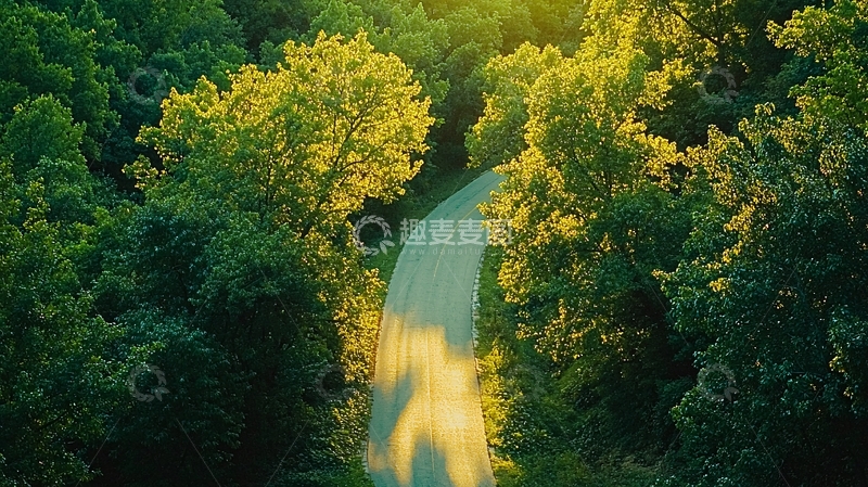 高清大图下载【趣麦麦图】森林小路