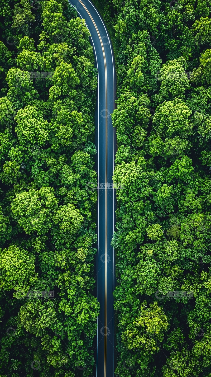 高清大图下载【趣麦麦图】绿色森林中的公路