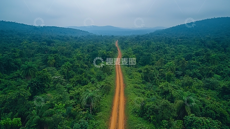 高清大图下载【趣麦麦图】森林中的土路风景