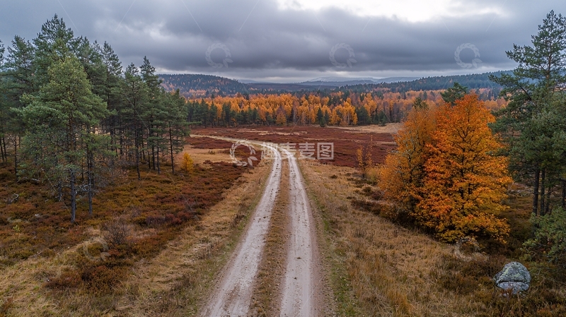 高清大图下载【趣麦麦图】秋季森林中的泥土路