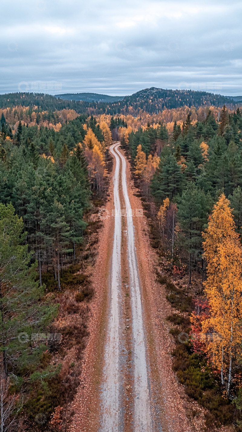 高清大图下载【趣麦麦图】蜿蜒穿过森林的土路