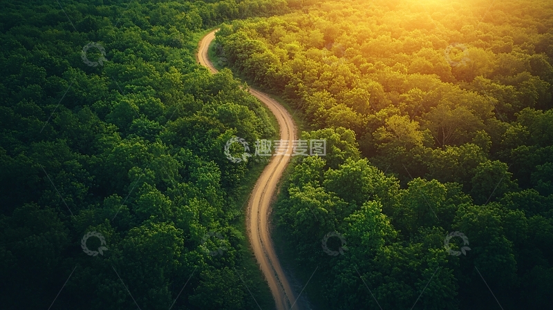 高清大图下载【趣麦麦图】森林公路