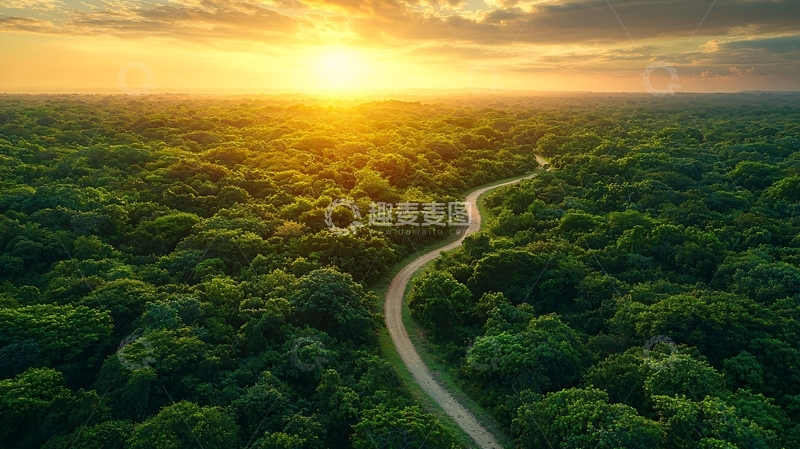 高清大图下载【趣麦麦图】森林公路日落