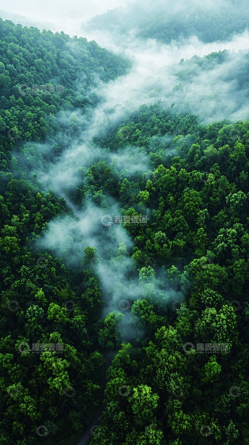 高清大图下载【趣麦麦图】翠绿山林中的雾气缭绕