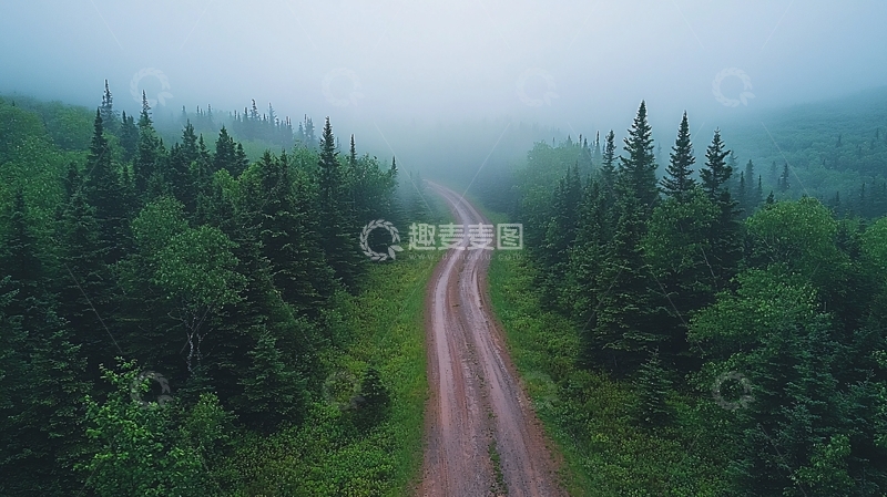 高清大图下载【趣麦麦图】雾气笼罩的森林小路