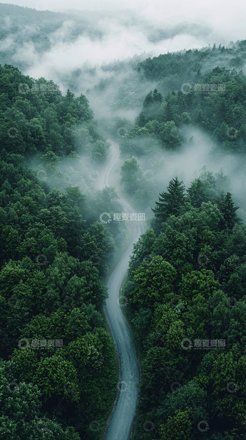 高清大图下载【趣麦麦图】雾气缭绕的森林小路