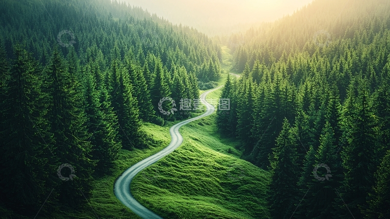 高清大图下载【趣麦麦图】森林公路