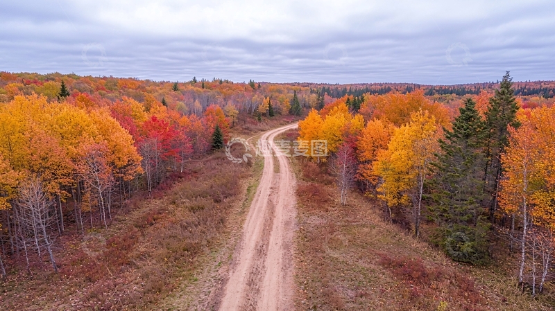 高清大图下载【趣麦麦图】秋季森林中的泥土路
