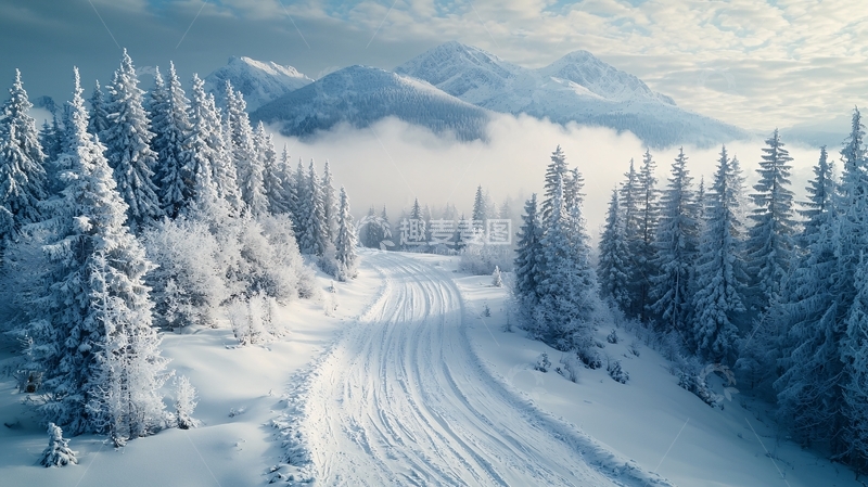 高清大图下载【趣麦麦图】雪覆盖的针叶林山景