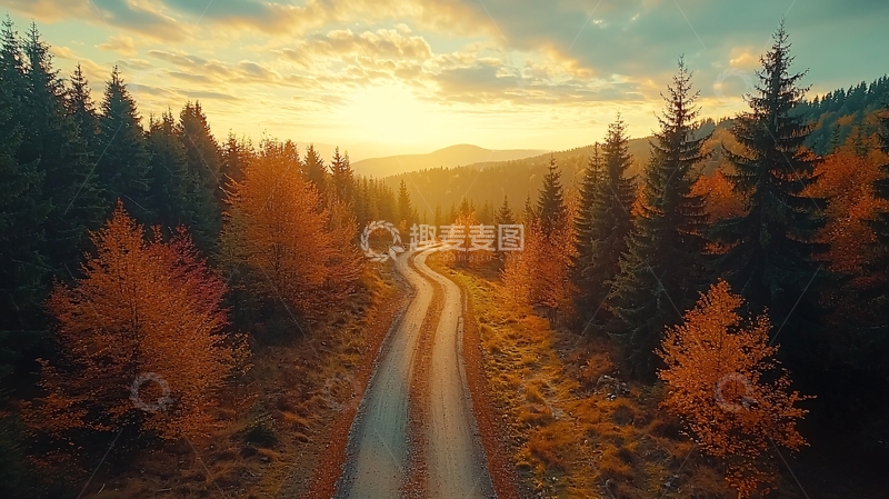 高清大图下载【趣麦麦图】秋日森林公路美景