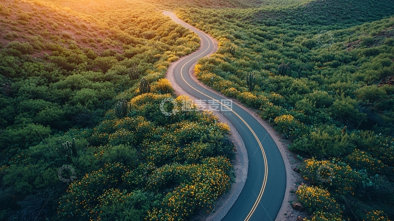 高清大图下载【趣麦麦图】蜿蜒的道路穿梭在森林中